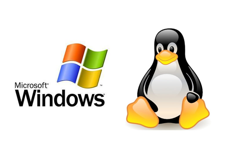 Linux or Windows